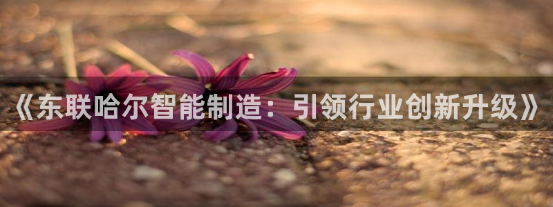 cq9电子平台软件下载：《东联哈尔智能制造：引领行业创新升级