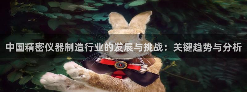 传奇电子cq9浴火重生：中国精密仪器制造行业的发展与挑战：关