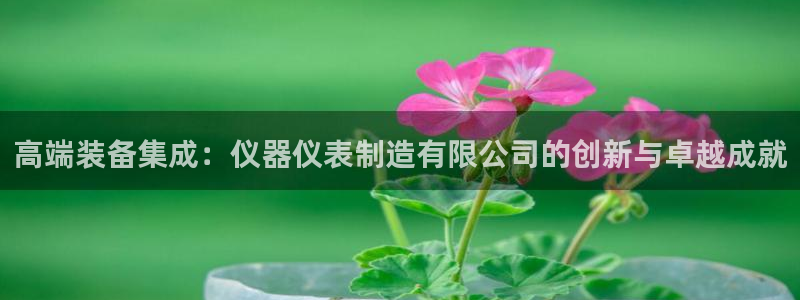 CQ9电子平台APP：高端装备集成：仪器仪表制造有限公司的创