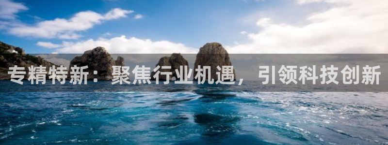 CQ9多旋转电子：专精特新：聚焦行业机遇，引领科技创新