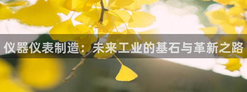 cq9电子爆大奖：仪器仪表制造：未来工业的基石与革新之路