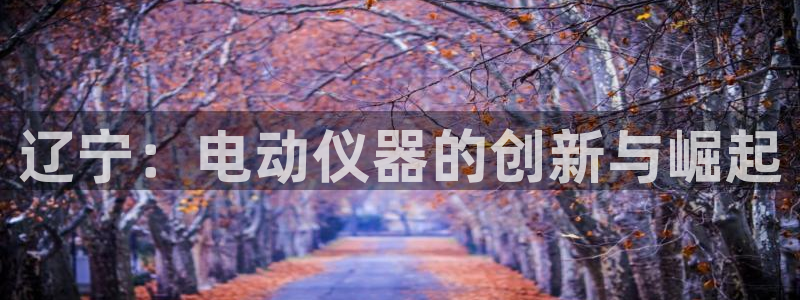 cq9传奇电子官方：辽宁：电动仪器的创新与崛起