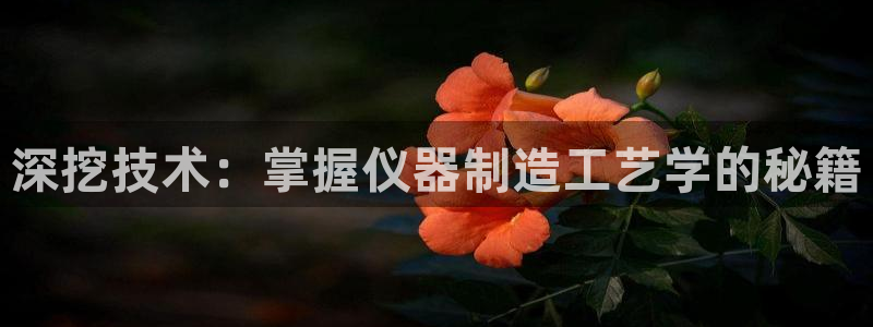 传奇cq9电子游戏：深挖技术：掌握仪器制造工艺学的秘籍
