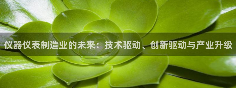 cq9传奇电子转盘：仪器仪表制造业的未来：技术驱动、创新驱动