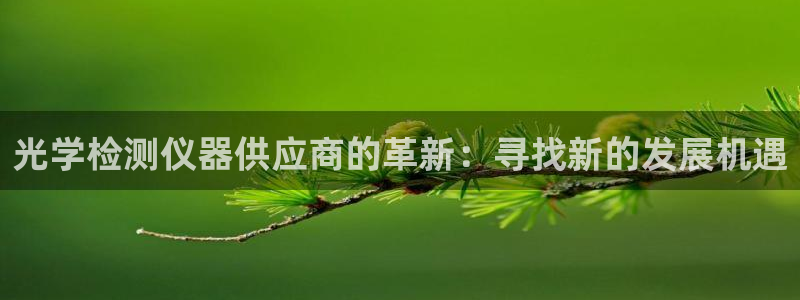 cq9电子在什么里面：光学检测仪器供应商的革新：寻找新的发展