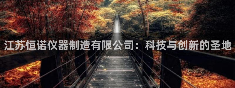 cq9传奇电子投注技巧：江苏恒诺仪器制造有限公司：科技与创新