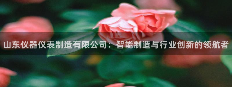 cq9电子官方官网：山东仪器仪表制造有限公司：智能制造与行业