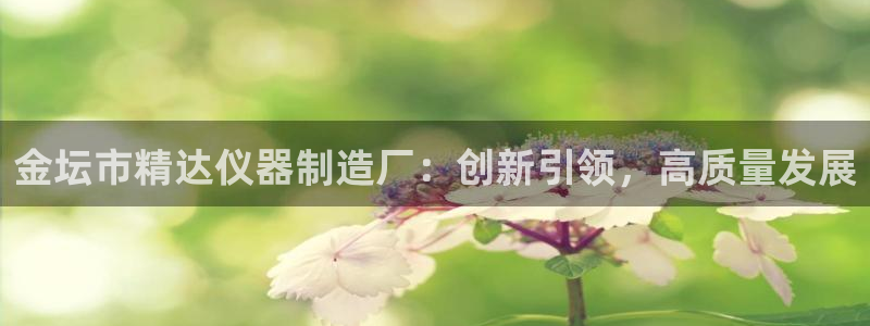 cq9电子官网平台：金坛市精达仪器制造厂：创新引领，高质量发