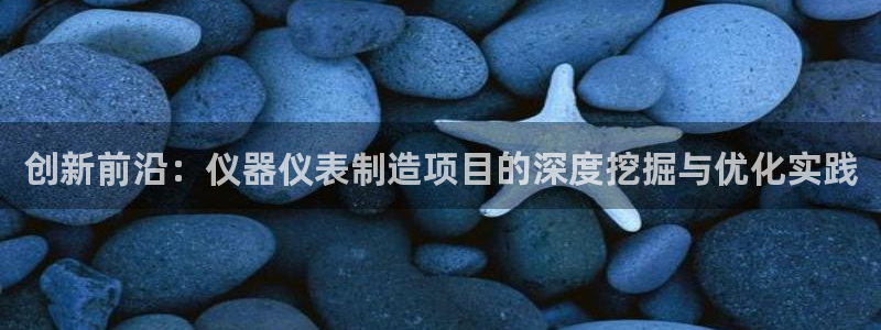 pp电子cq9电子：创新前沿：仪器仪表制造项目的深度挖掘与优