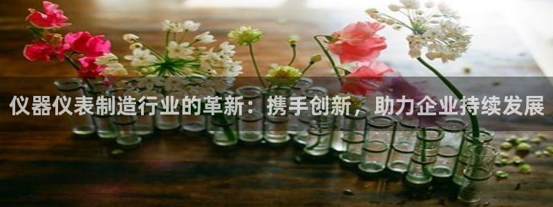 Cq9的电子图：仪器仪表制造行业的革新：携手创新，助力企业持