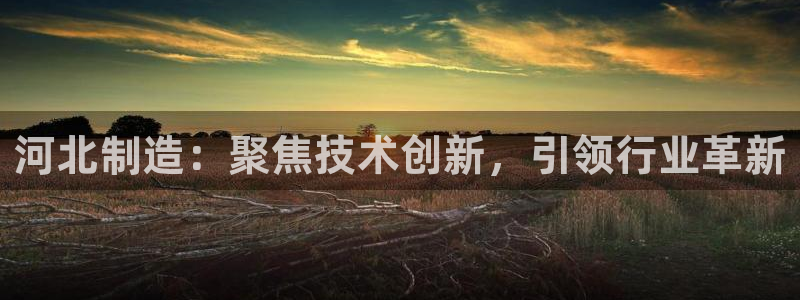 水牛电子闪电cq9：河北制造：聚焦技术创新，引领行业革新
