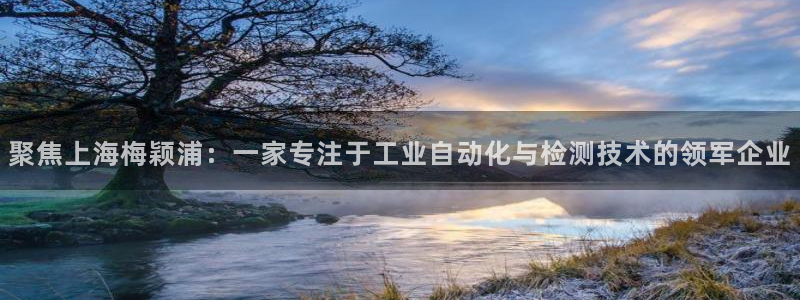 免费MG CQ9 电子：聚焦上海梅颖浦：一家专注于工业自动化