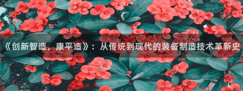 cq9传奇电子博彩网址：《创新智造，康平造》：从传统到现代的