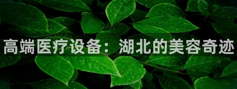 cq9电子全屏大奖：高端医疗设备：湖北的美容奇迹