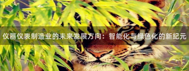 cq9电子超级大奖视频