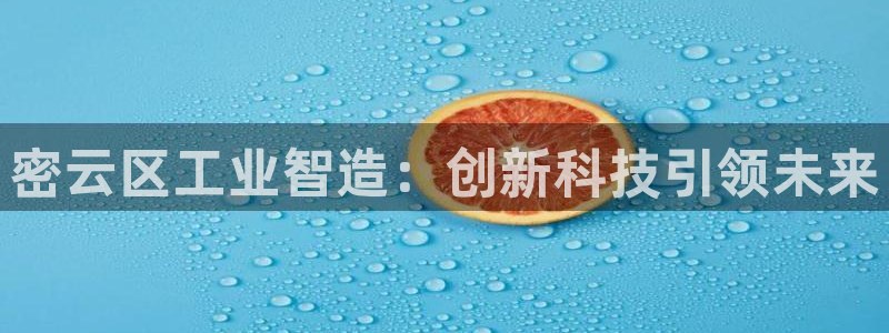cq9电子黑豹