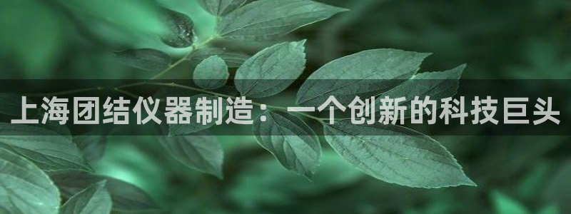 cq9电子平台网站下载：上海团结仪器制造：一个创新的科技巨头