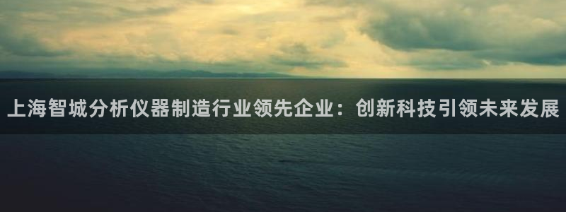 cq9电子捕鱼：上海智城分析仪器制造行业领先企业：创新科技引