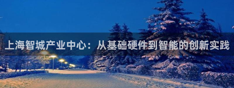 怎么去cq9电子：上海智城产业中心：从基础硬件到智能的创新实