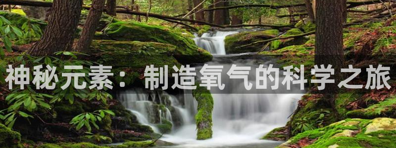 cq9电子首页平台