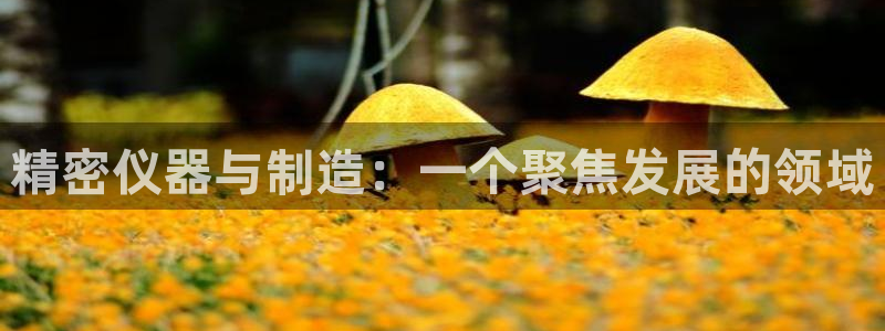 vns电子cq9：精密仪器与制造：一个聚焦发展的领域