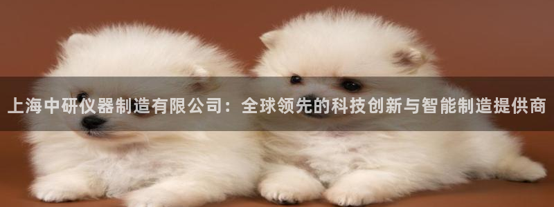 cq9电子魔龙：上海中研仪器制造有限公司：全球领先的科技创新