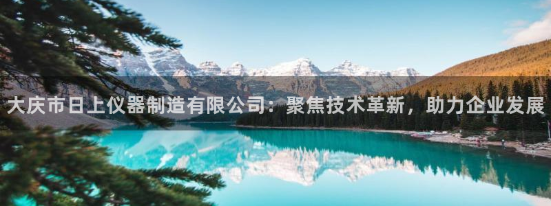 电子cq9试玩平台：大庆市日上仪器制造有限公司：聚焦技术革新