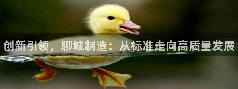 cq9电子游艺漏洞：创新引领，聊城制造：从标准走向高质量发展