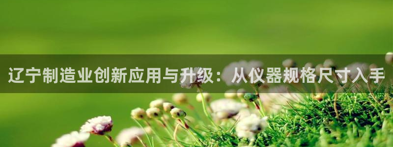 外国cq9电子爆分视频：辽宁制造业创新应用与升级：从仪器规格