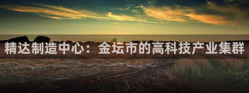 有cq9的电子棋牌：精达制造中心：金坛市的高科技产业集群
