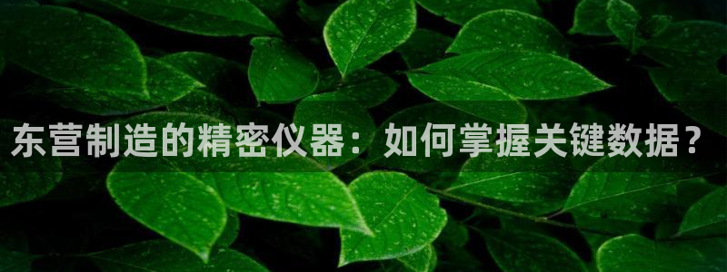 cq9电子作弊：东营制造的精密仪器：如何掌握关键数据？
