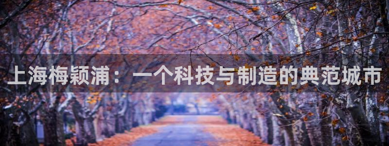 电子神龙秘宝cq9