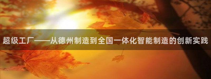 cq9电子客服：超级工厂——从德州制造到全国一体化智能制造的
