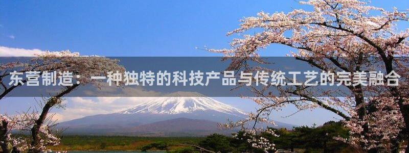 cq9电子火女之王：东营制造：一种独特的科技产品与传统工艺的