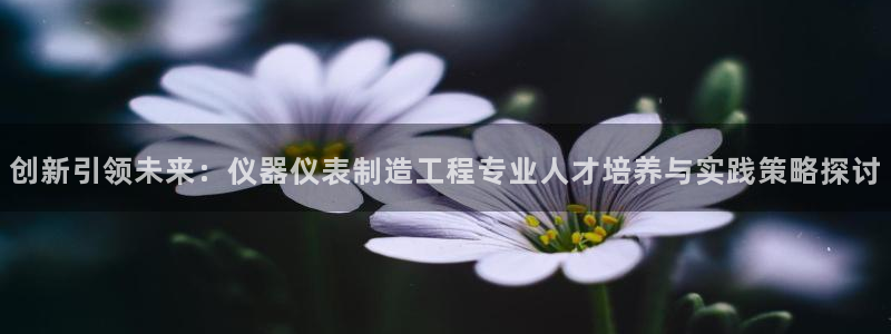 cq9电子维护美腿：创新引领未来：仪器仪表制造工程专业人才培