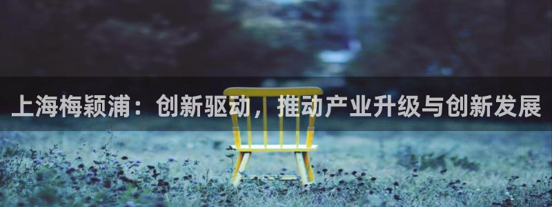 cq9电子官网：上海梅颖浦：创新驱动，推动产业升级与创新发展