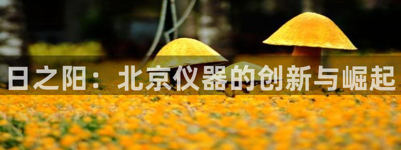 cq9电子游戏交流：日之阳：北京仪器的创新与崛起