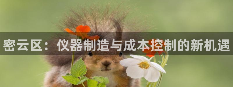 传奇cq9电子测试：密云区：仪器制造与成本控制的新机遇