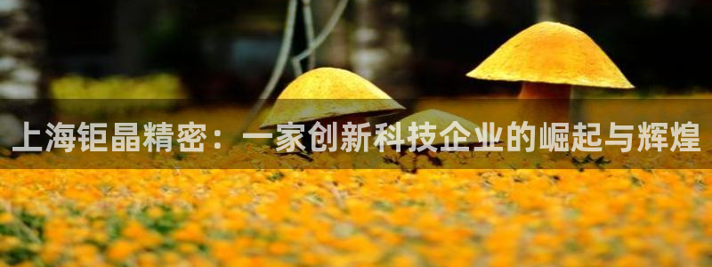 cq9电子爆分集锦：上海钜晶精密：一家创新科技企业的崛起与辉