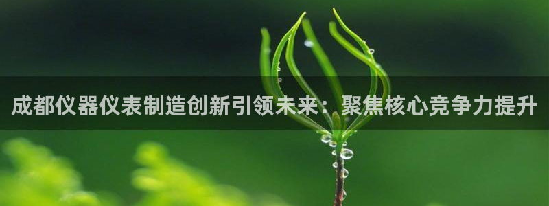 cq9电子钢琴：成都仪器仪表制造创新引领未来：聚焦核心竞争力