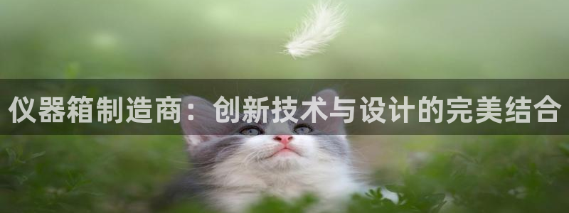 cq9电子新闻资讯：仪器箱制造商：创新技术与设计的完美结合