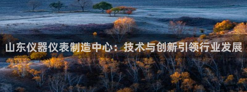 CQ9电子游艺试玩：山东仪器仪表制造中心：技术与创新引领行业