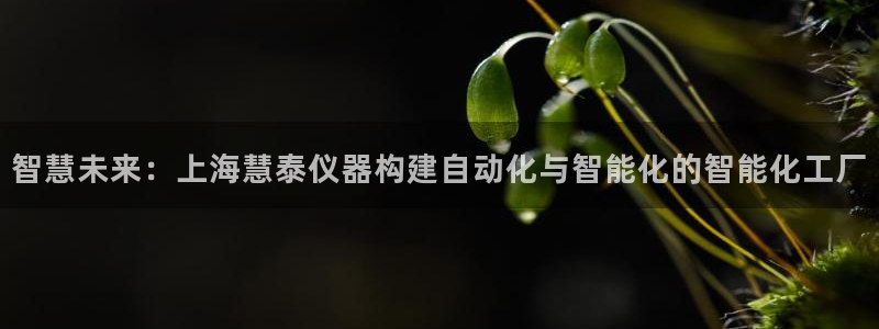 cq9电子大力神：智慧未来：上海慧泰仪器构建自动化与智能化的