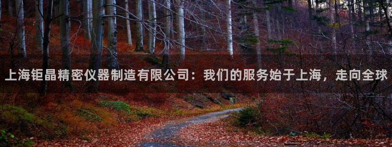 cq9电子冠军：上海钜晶精密仪器制造有限公司：我们的服务始于