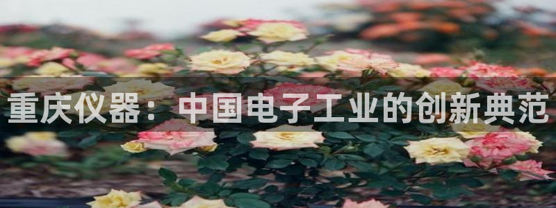 cq9电子登陆：重庆仪器：中国电子工业的创新典范