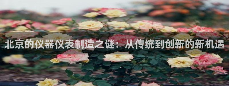 cq9 电子：北京的仪器仪表制造之谜：从传统到创新的新机遇