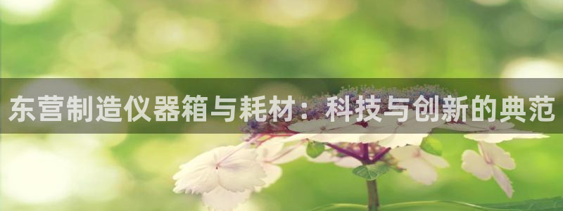 澳门CQ9电子娱乐：东营制造仪器箱与耗材：科技与创新的典范