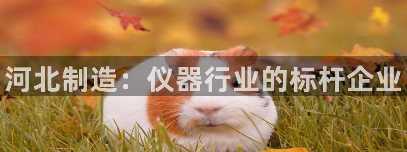 电子游艺cq9：河北制造：仪器行业的标杆企业