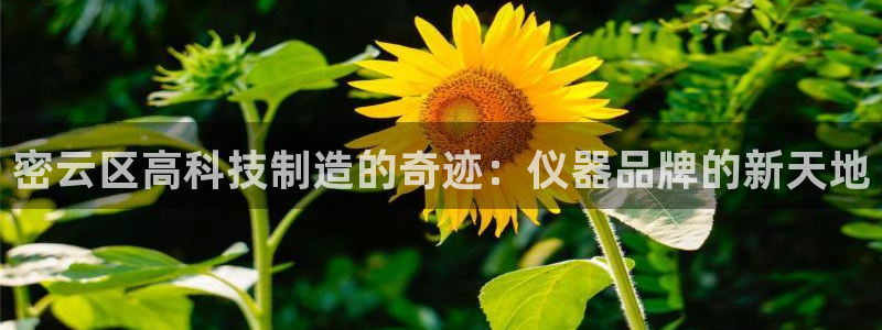 电子cq9幸运：密云区高科技制造的奇迹：仪器品牌的新天地