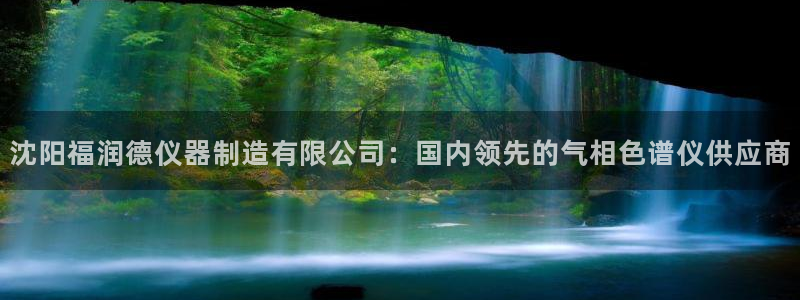 cq9电子吧：沈阳福润德仪器制造有限公司：国内领先的气相色谱